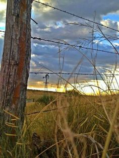 a wooden post in the middle of a field with barbed wire on it and a sky background