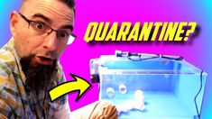 a man is looking at an aquarium with the caption quarantine?