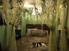 a cat laying on top of a bed covered in green curtains and draping