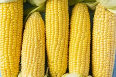 corn on the cob is shown in this image