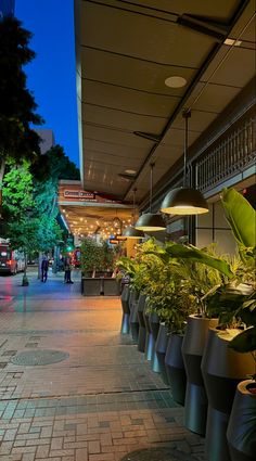 there are many potted plants on the sidewalk