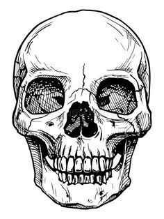 a black and white drawing of a human skull