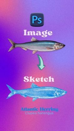 the fish is shown with its own image and other information about it's life cycle