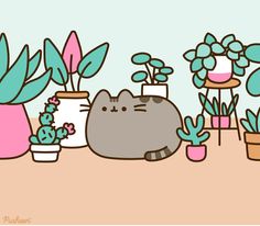 a cat is sitting in front of potted plants