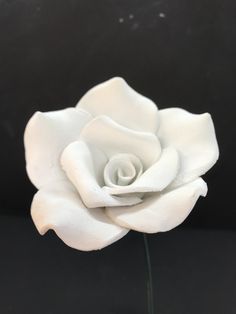 a white rose sitting on top of a table