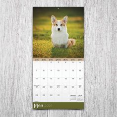 a calendar with a photo of a dog sitting in the grass on it's side