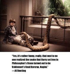 a man sitting on the ground with a snake in front of him and a quote from j k rowling