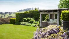 a garden with lots of flowers and bushes in the foreground, surrounded by hedges