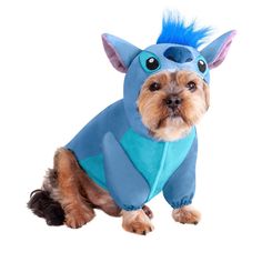 a small dog dressed in a blue costume