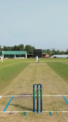 a cricket game is being played on the grass