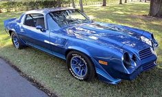 a blue sports car parked on the grass