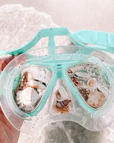 a person holding an ice tray filled with sea shells