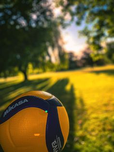 a yellow and blue beach ball sitting on top of a green grass covered park field