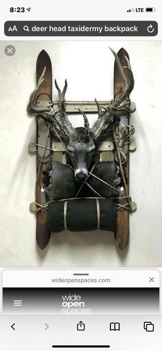 a deer head mounted to the side of a wall with antlers attached to it