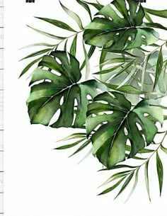 watercolor painting of green leaves on white background with text that reads,'i love you