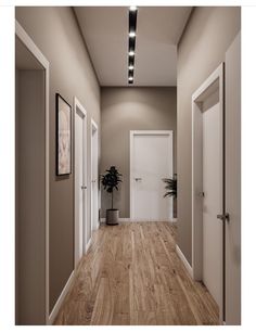 an empty hallway with two doors and a plant on the floor in front of it