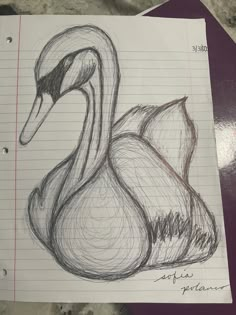 a pencil drawing of a swan sitting on top of a piece of lined notebook paper