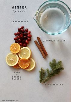 ingredients for winter spice including cranberries, lemons, cinnamon sticks and pine needles