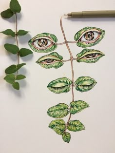 a drawing of leaves with an eye drawn on it