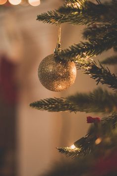 an ornament hanging from the top of a christmas tree