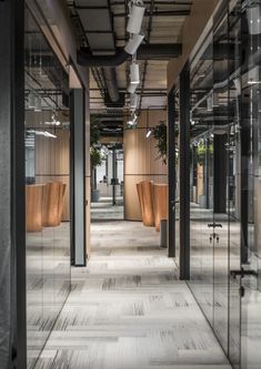 an empty office hallway with glass walls and wooden flooring on both sides, surrounded by planters