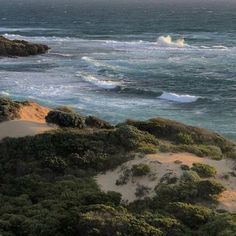 an ocean view with waves crashing on the shore and sand dunes in the foreground