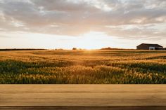 an empty wooden table in front of a field with the sun shining through clouds above it