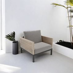 a chair sitting next to a potted plant in a white room with a large window