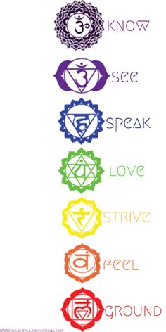 Mandala Chakra, The Seven Chakras, Reiki Symbols, Les Chakras, Chakra Meditation, 7 Chakras