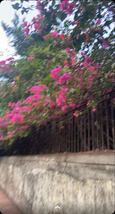 pink flowers blooming on the side of a stone wall next to a wooden fence