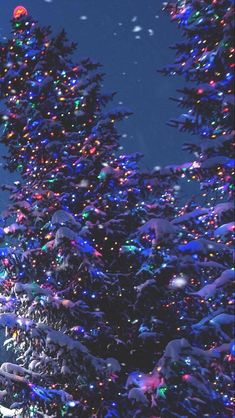 a large christmas tree is lit up in the night sky with colorful lights on it