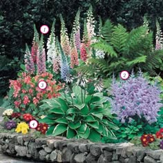 a garden filled with lots of colorful flowers and greenery next to a stone wall