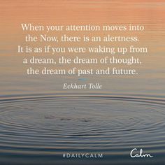 a quote on the water that says when your attention moves into the now, there is an