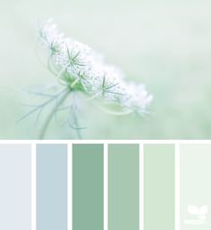 the color scheme is pale green and blue, with some white flowers on top of it