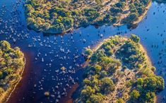 an aerial view of the water and land with many animals in it, including elephants