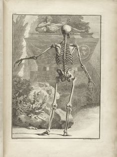 a skeleton standing in the middle of a field