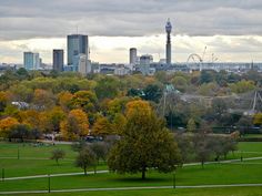 the city skyline is seen in the distance from an open grassy area with lots of trees