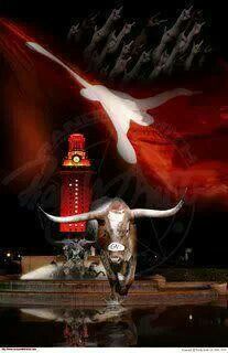 an artistic photo of a bull with a red and white flag in the background