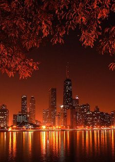 the city skyline is lit up at night with lights reflecting in the water and trees