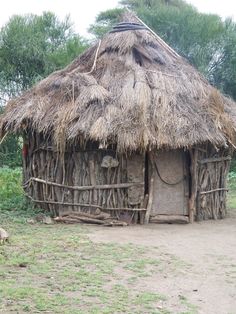 a hut made out of sticks and grass