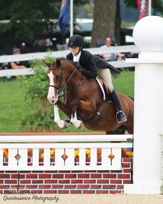 a woman riding on the back of a brown and white horse over an obstacle at a horse show