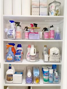 the inside of a bathroom cabinet filled with lots of cleaning products and personal care items