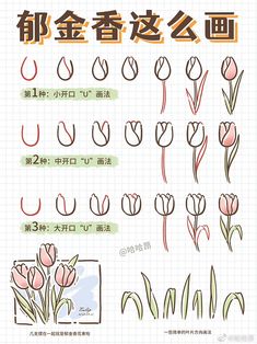 various flowers are drawn in chinese characters