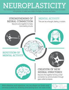 the neuroplasticty info sheet is shown