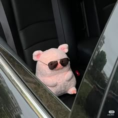 a stuffed animal wearing sunglasses sitting in the back seat of a car with its head out