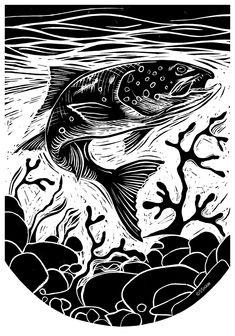 a black and white drawing of a fish in the water