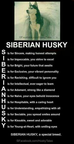 a black and white poster with the words siberian husky on it