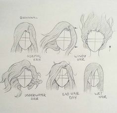 a drawing of different hairs and hair styles