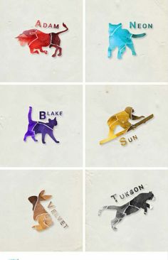 four different colored cats are shown in the shape of letters that spell out their names