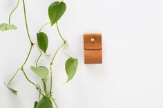 a small leather wallet sitting on top of a table next to a green leafy plant